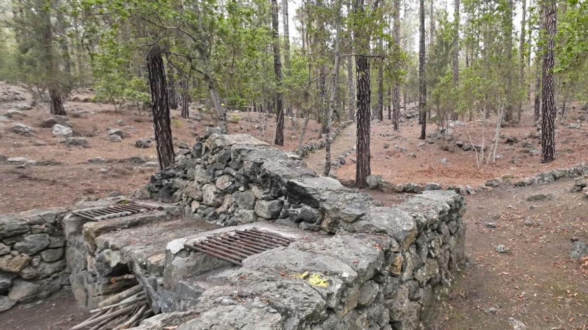 Área recreativa de Las Hayas en Icod de los Vinos.