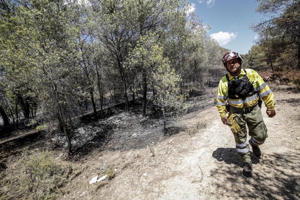 Incendio en La Torre de les Maçanes