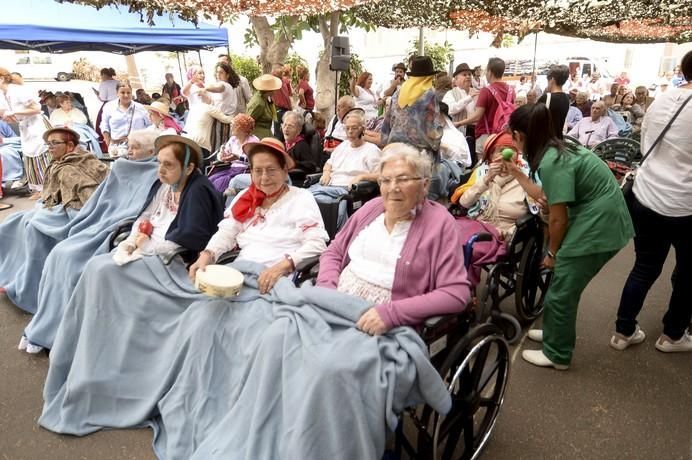 DIA DEL PINO EN EL CENTRO SOCIOSANITARIO DE EL ...