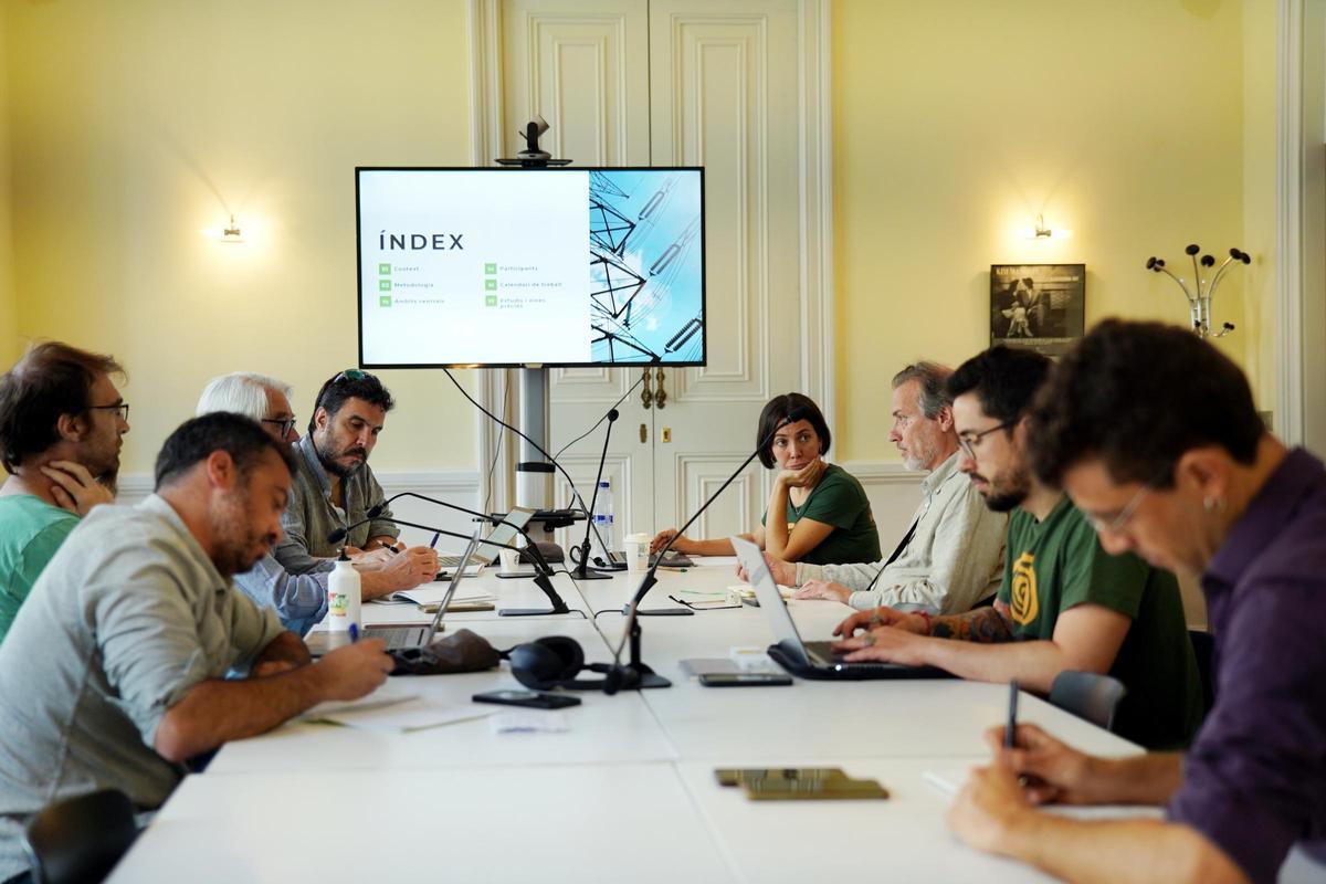 Reunió de l'Aliança per l'Auditoria de la Distribució Elèctrica