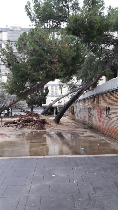 El temporal, en Valencia ciudad