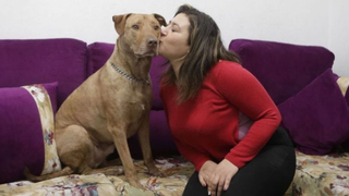 La cuidadora de Tuco, el perro que estrenó la ley de Bienestar Animal: "Quitármelo sería como arrancarme los riñones"