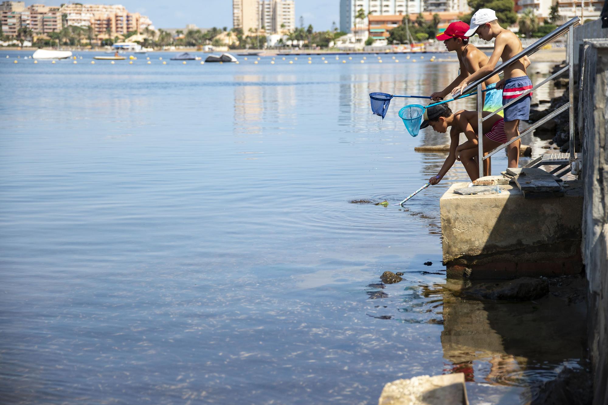 Las imágenes de la crisis del Mar Menor que quedarán grabadas en tu retina