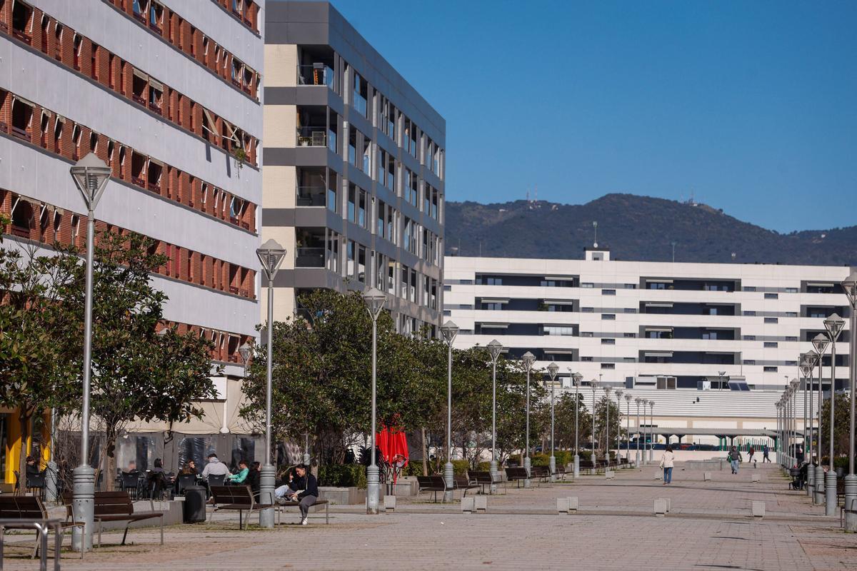 Córdoba. Viviendas de nueva construcción, obras, pisos, bloques. Nuevo Zoco