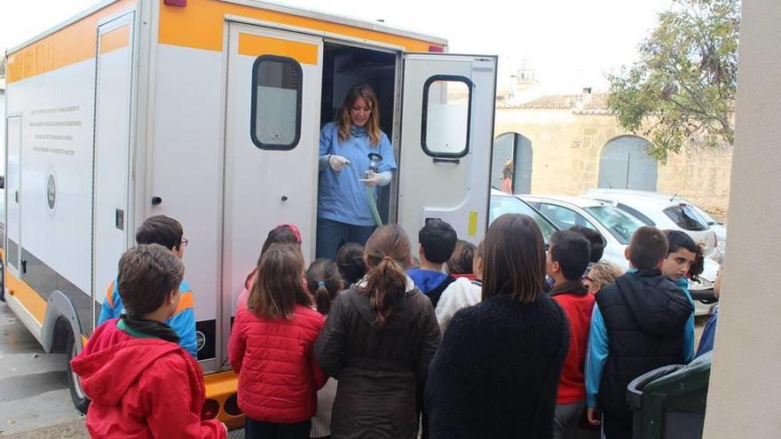 Esterilización de gatos en Sencelles