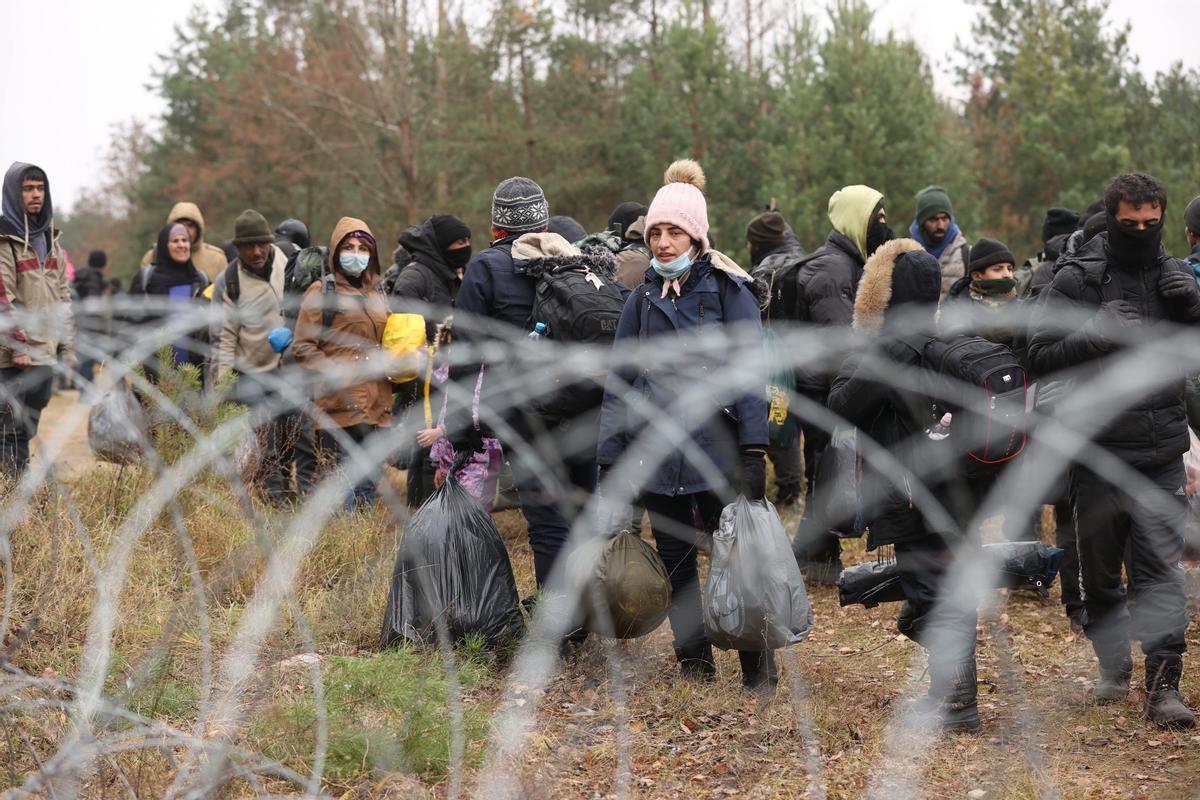 Refugiados y migrantes, junto a la frontera con Polonia en la región bielorrusa de Grodno.