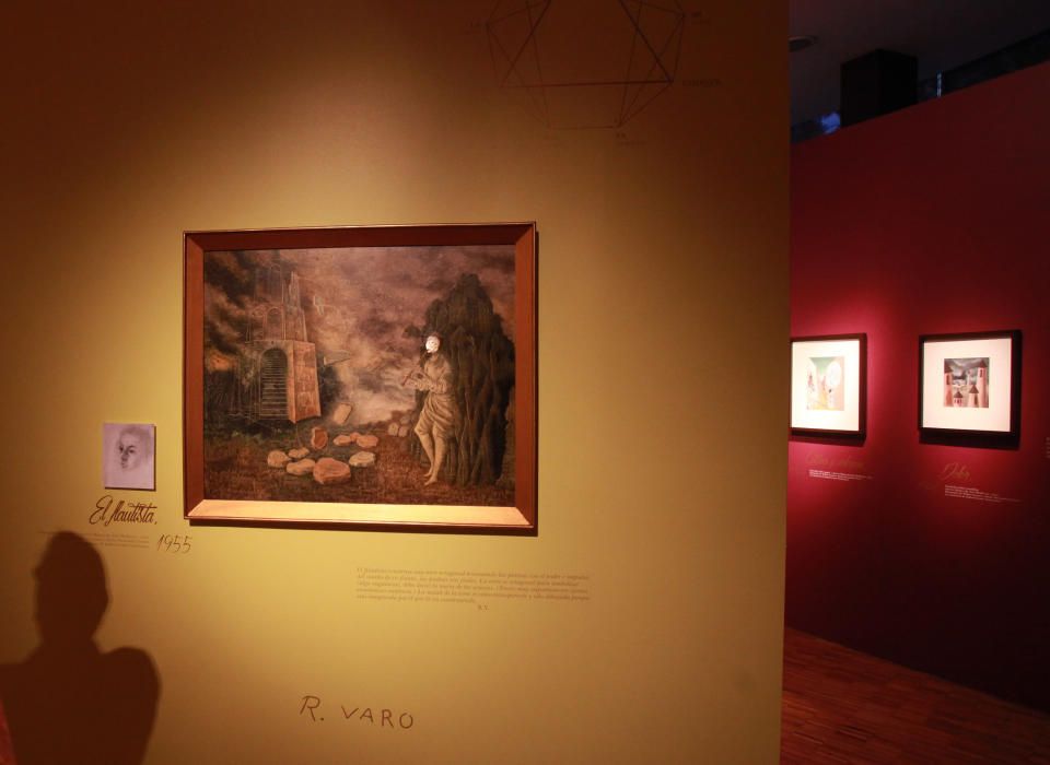 Exposició de Remedios Vara