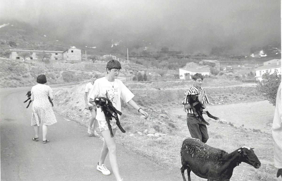Imagen del incendio que arrasó en 1994 miles de hectáreas en Els Ports.