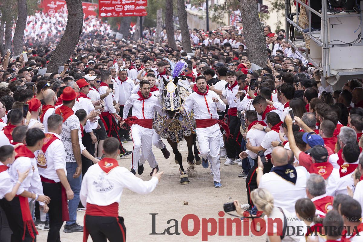 Así se ha vivido la carrera de Los Caballos del Vino en Caravaca