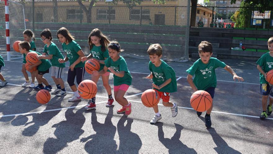 La Federación pone en marcha la campaña de Escuelas Verano 2016