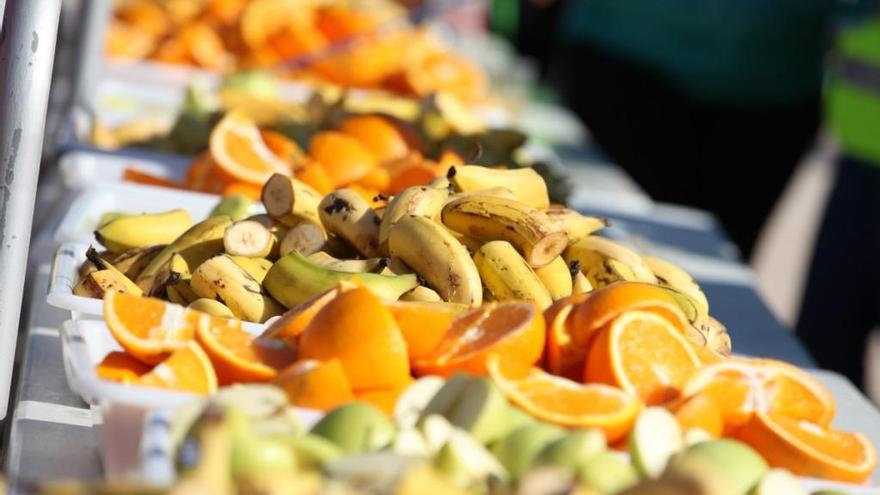 Se repartirán más de un millar de plátanos, manzanas y naranjas.