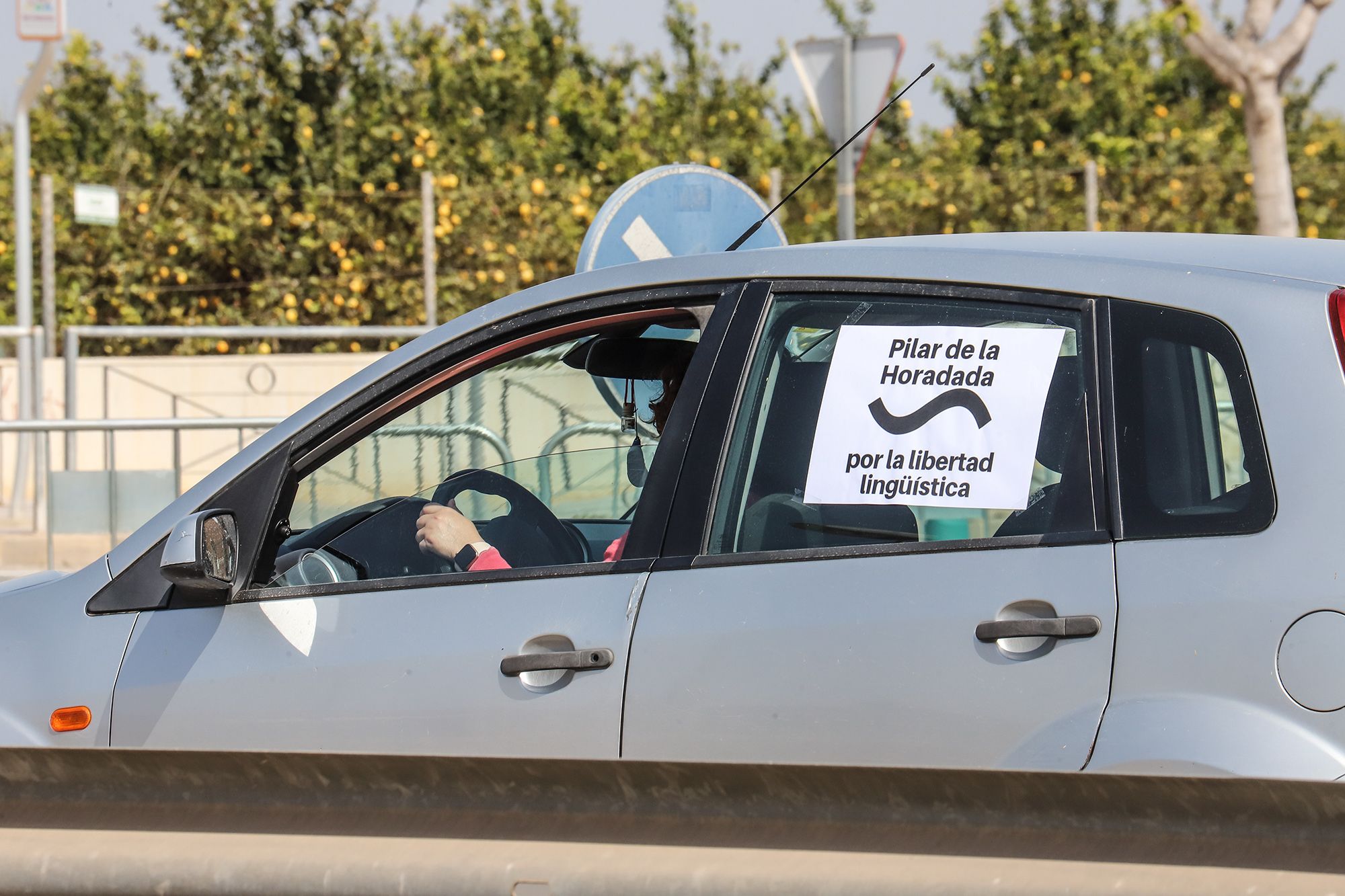 Una caravana con cientos de vehículos clama en Pilar de la Horadada contra la "imposición" del valenciano