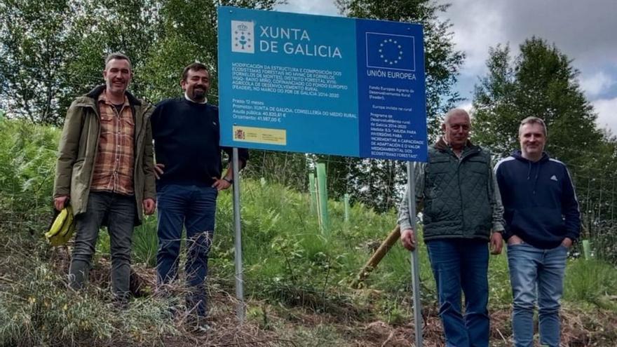 Finalizan trabajos silvícolas en los montes de Fornelos tras una inversión de 60.000 euros