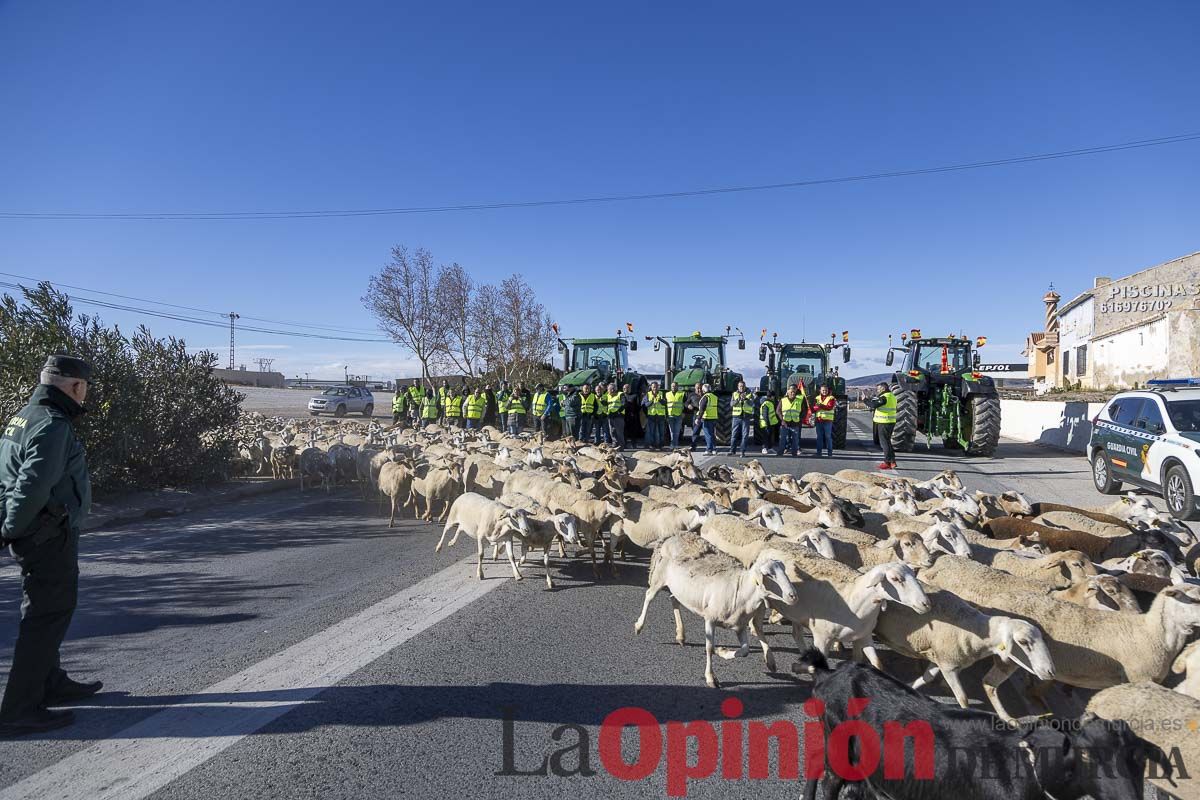 Manifestaciones de agricultores en Caravaca