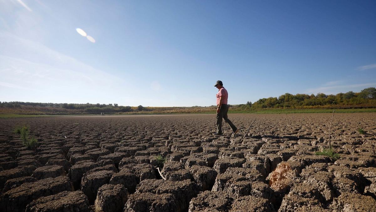 Aspecto de la laguna del Rincón. Una desecación así en esta zona no se recordaba desde hace 26 años.