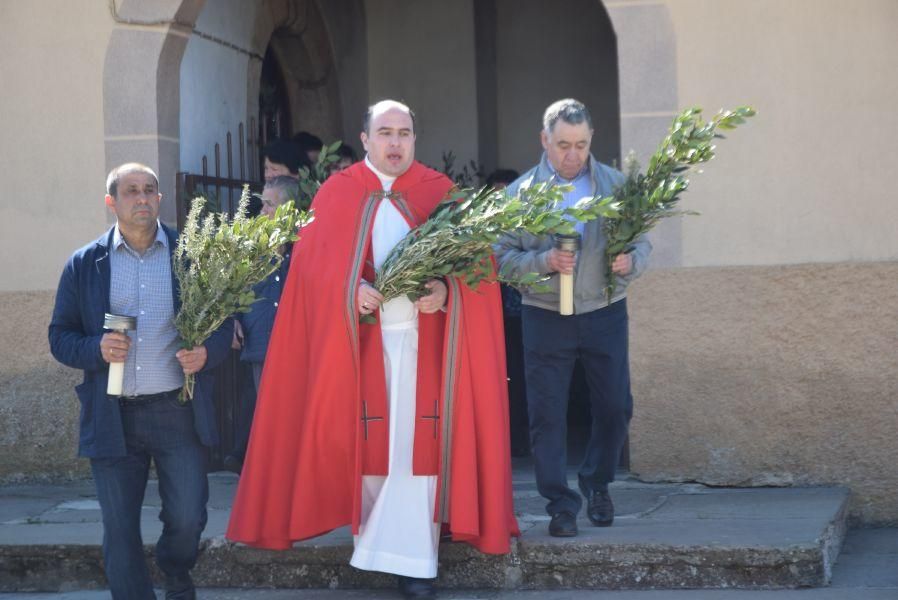 Semana Santa de Bercianos: Domingo de Ramos