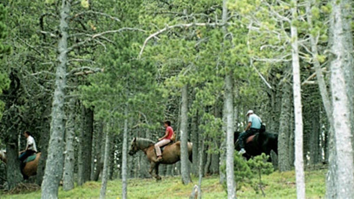 Aventura y deporte en las cumbres