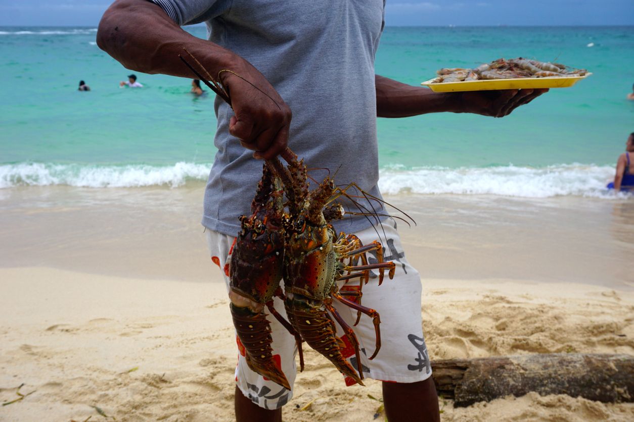 Comer en islas del Rosario: del mar a la mesa.