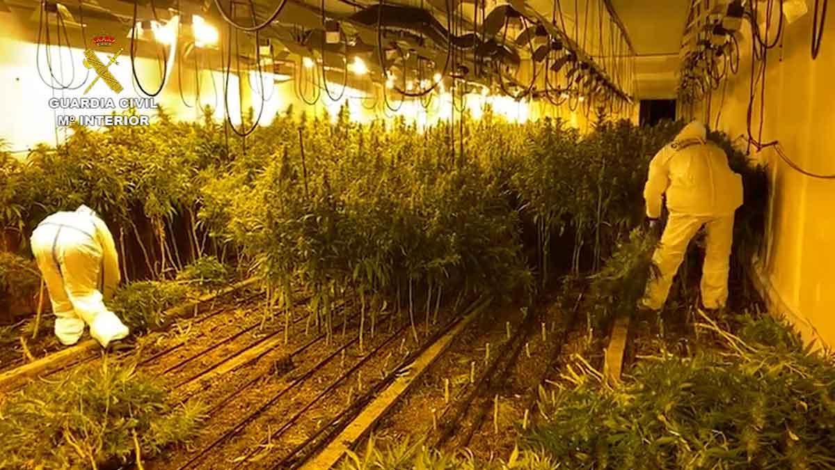 La Guardia Civil desmantela dos ’narconaves’ de marihuana en Llinars del Vallès.