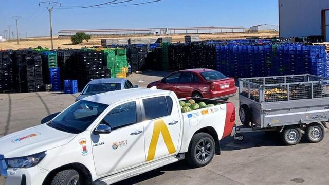 Fruta y verdura donada por la empresa para su traslado a Fermoselle. | CEDIDA