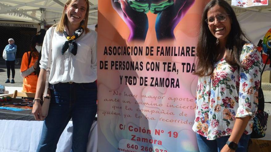 Representantes de AZADAHI, en una jornada en Benavente. | E. P.