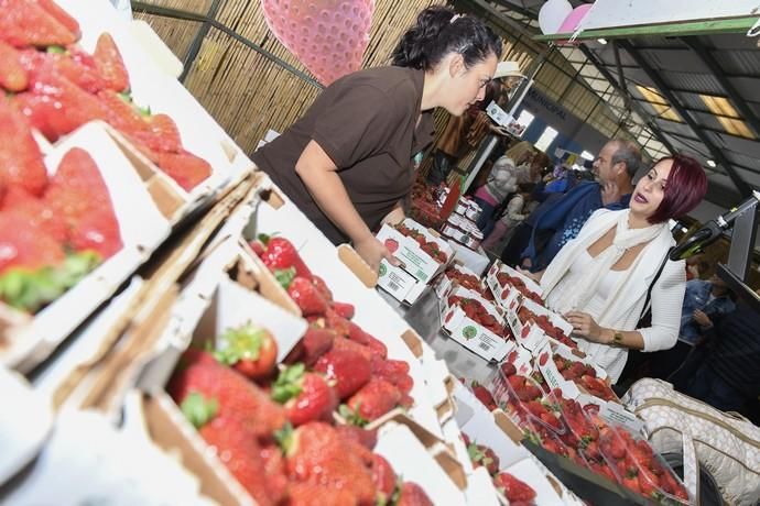 GRAN CANARIA 29-04-2018   VALSEQUILLO.  Feria de ...