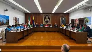 El Pleno aprueba comprar un terreno para una fotovoltaica en Palma del Río