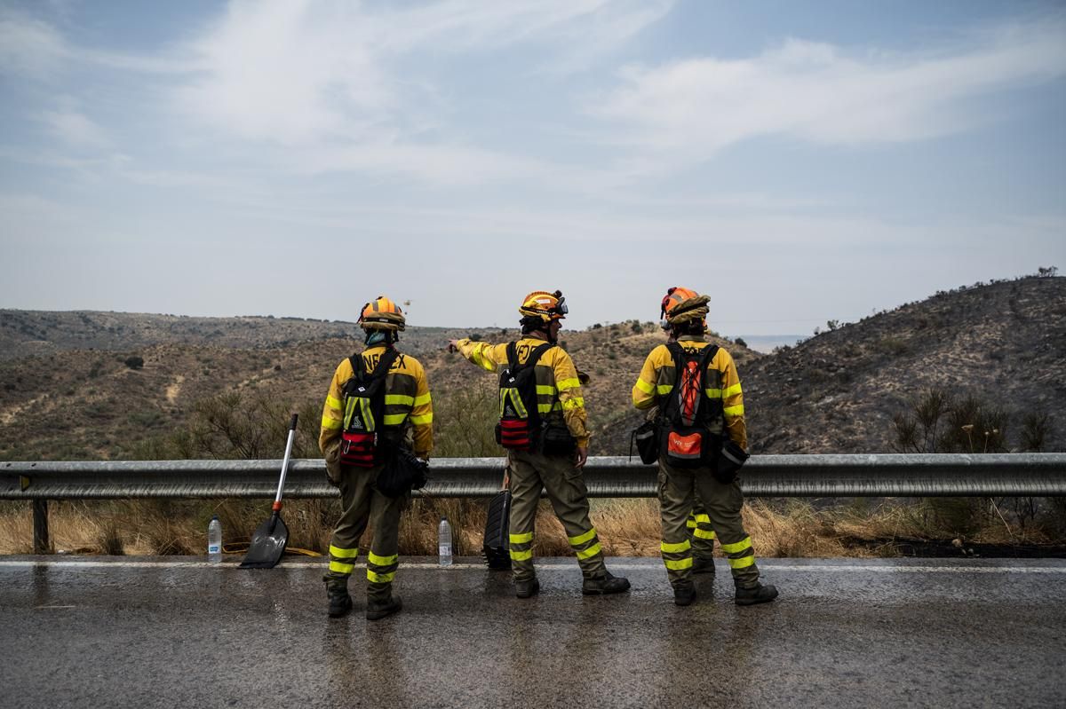 Fotogalería | Así ha sido el incendio forestal en Garrovillas de Alconetar