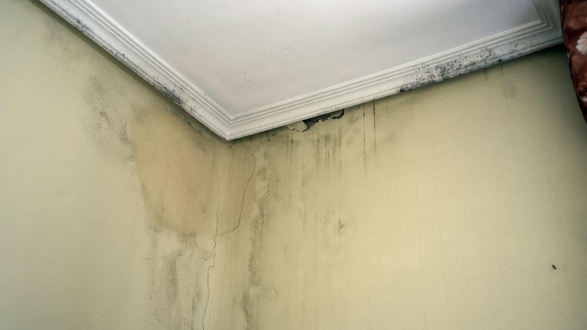 Filtraciones en una vivienda de Vigo