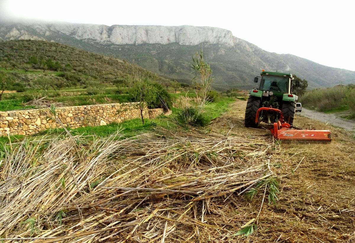 Retirada de cañas junto a un río