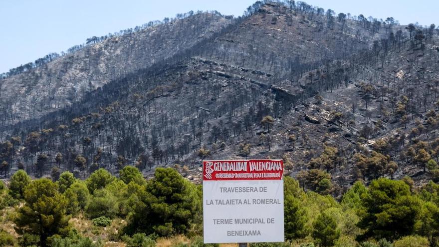 Emergencias advierte del riesgo extremo de incendios forestales en Alicante