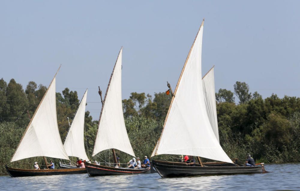 Regata-exhibición de vela latina en l'Albufera