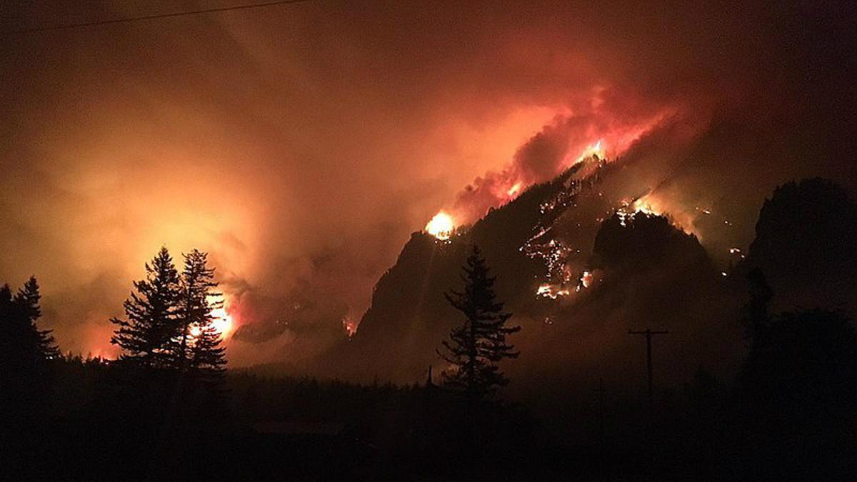 Aspecto del incendio provocado por el menor de 15 años y que calcinó más de 4.000 herctáreas en el cañón del río Columbia (Oregón, EEUU).