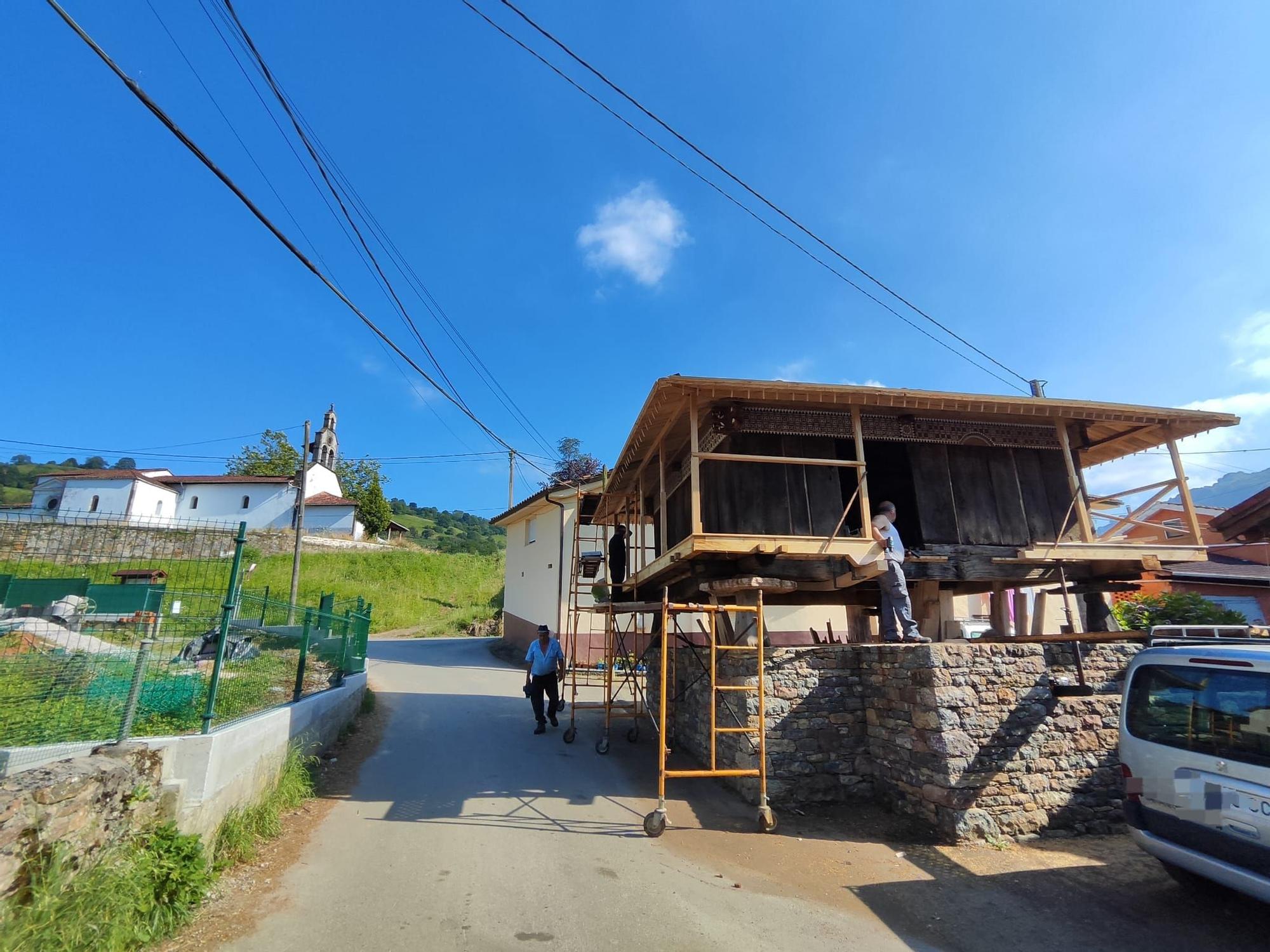 El hórreo de Casa Alfonso, tesoro de Sama de Grado del siglo XVI, vuelve a estar en pie