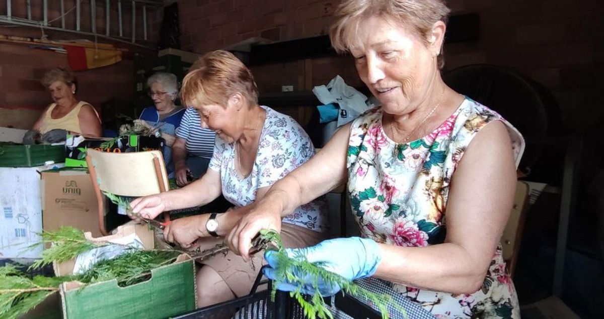 La intención es cubrir todo el trayecto hasta el cruceiro. | S.A.