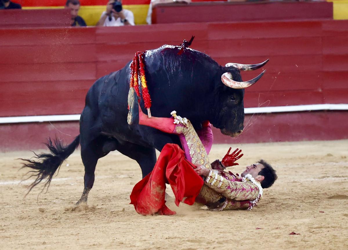 Samuel Navalón conquista su segunda puerta grande consecutiva en Valencia durante la Feria de Julio