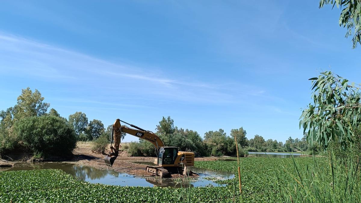 Las máquinas siguen trabajando en Las Bardocas. La imagen es de la semana pasada.