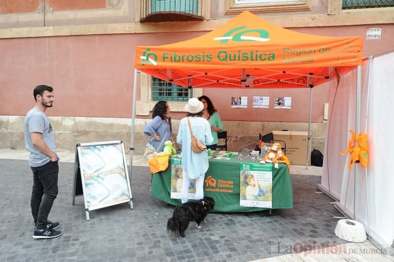 Día del Donante en Murcia