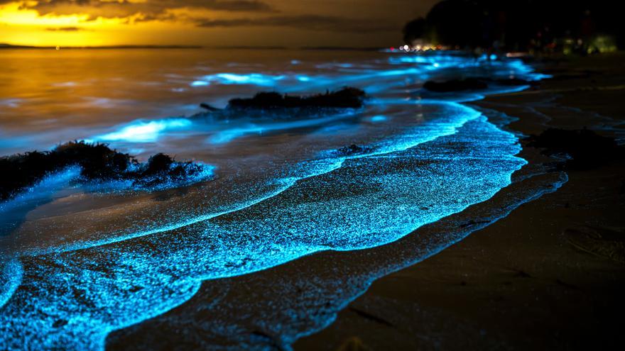 Las 3 mejores playas de España para ver la bioluminiscencia: un espectáculo único en el mundo
