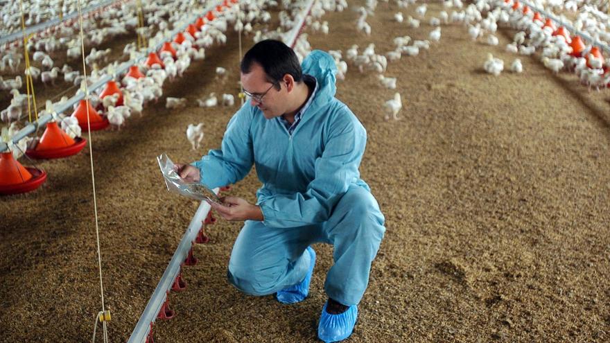 Las granjas ya no estarán obligadas a contar con veterinario ni plan sanitario