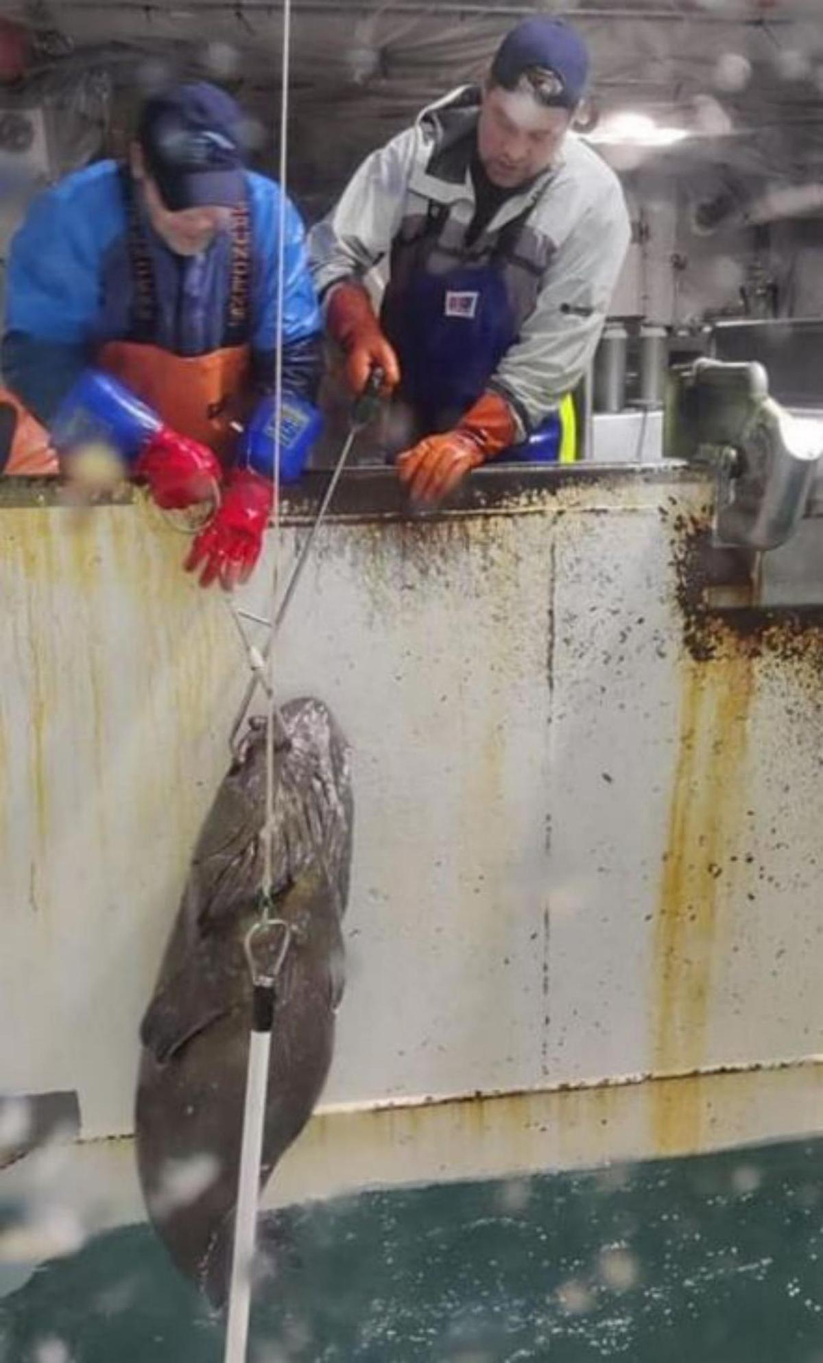 Izada de merluza negra a bordo de un buque de Argos Froyanes.