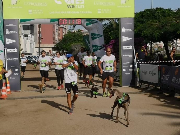 Carrera de mascotas Can We Run