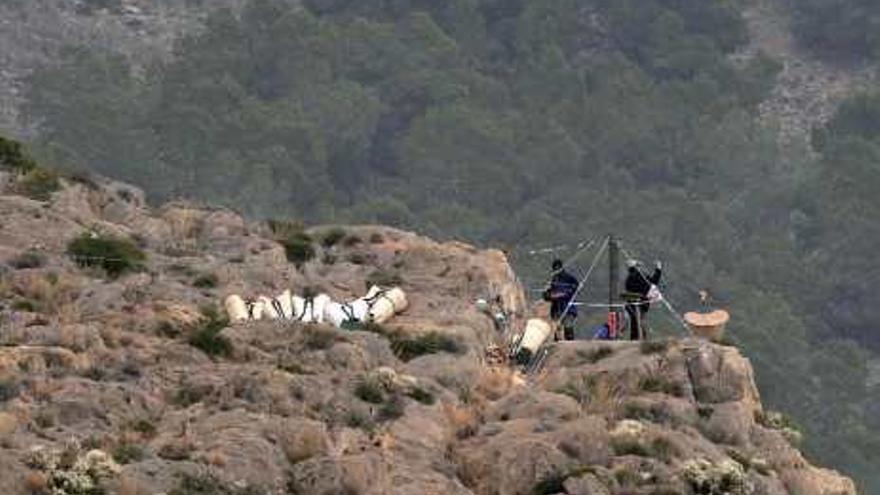 Conselleria espera erradicar el cactus de Arizona de la sierra dentro de 14 meses