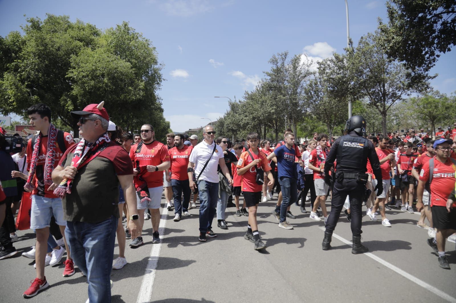 Así han recibido los aficionados al Real Mallorca antes del crucial duelo ante el Granada