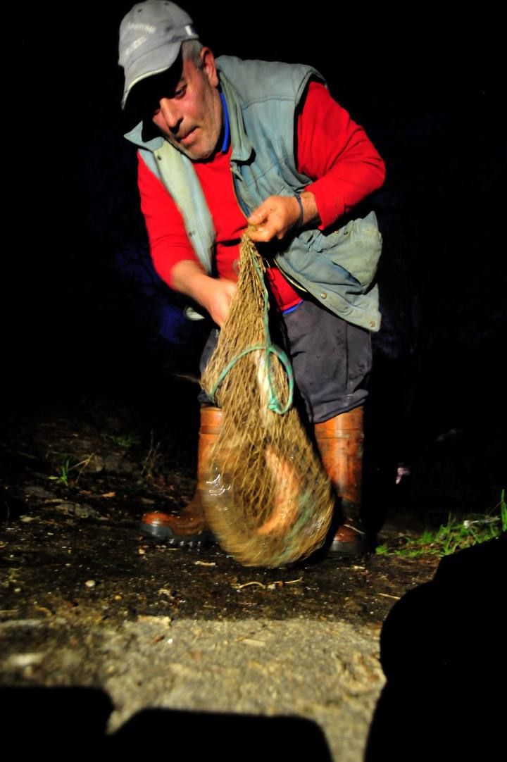 Una noche en el Ulla a por la lamprea