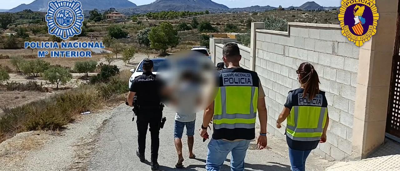 Desmantelan tres plantaciones de "maría" en Alicante, Mutxamel y La Vall de Laguar