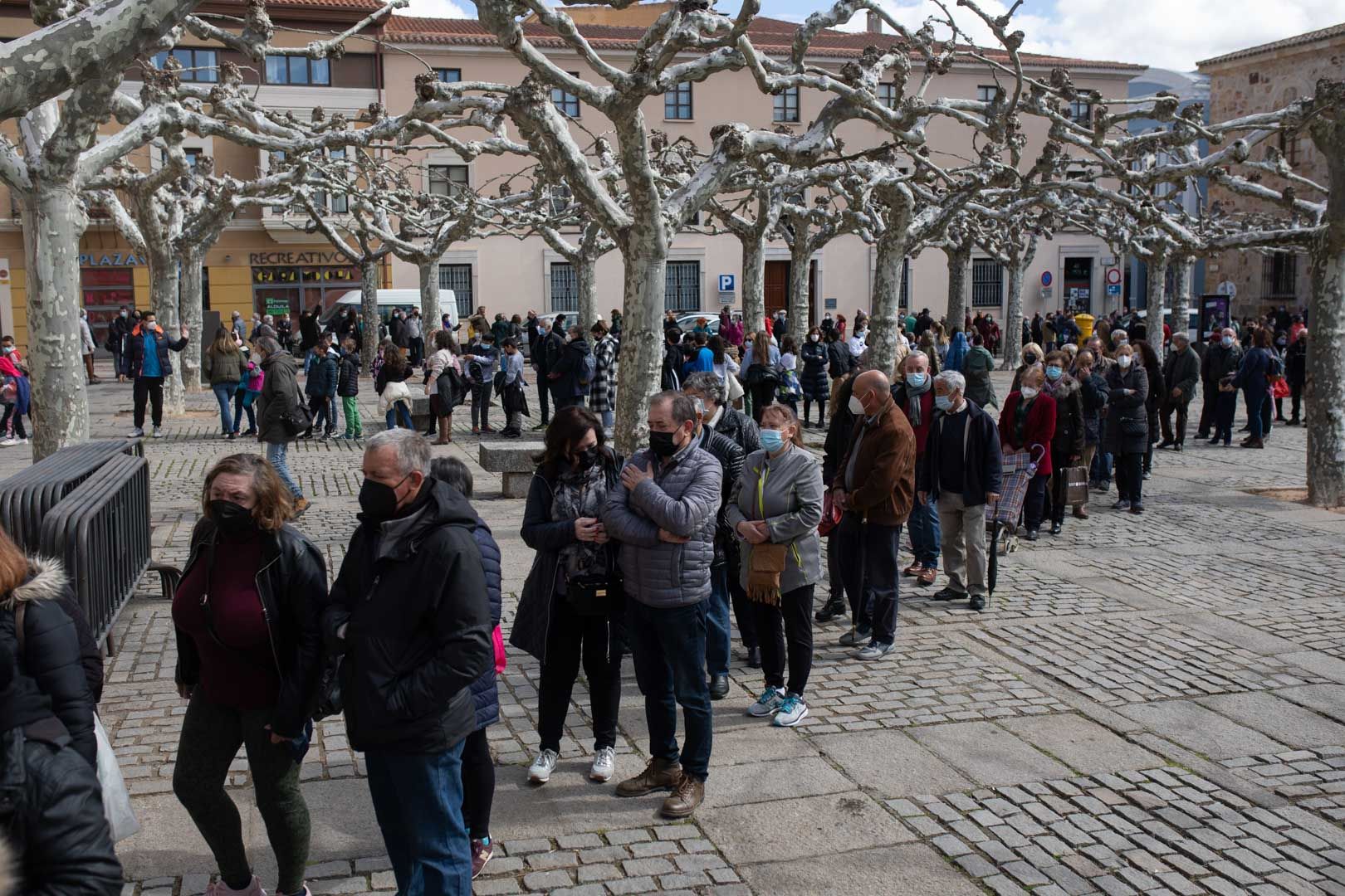 GALERÍA | La Diputación de Zamora celebra el Día del Árbol