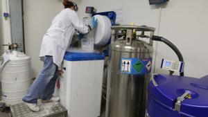 Una estudiante de Medicina, en el campus Clínic de la UB.