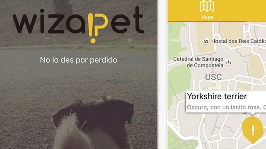 Pantallas de la app Wizapet.