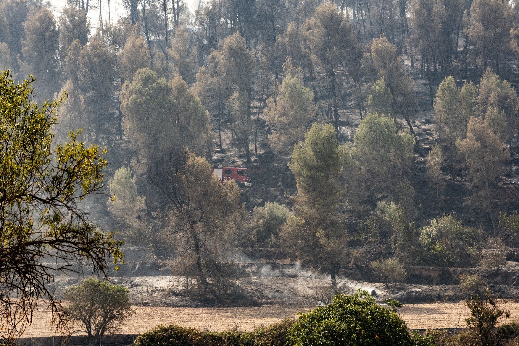 Afectació per l'incendi a la urbanització de les Brucardes